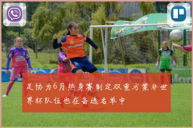 足协为6月热身赛制定双重方案非世界杯队伍也在备选名单中